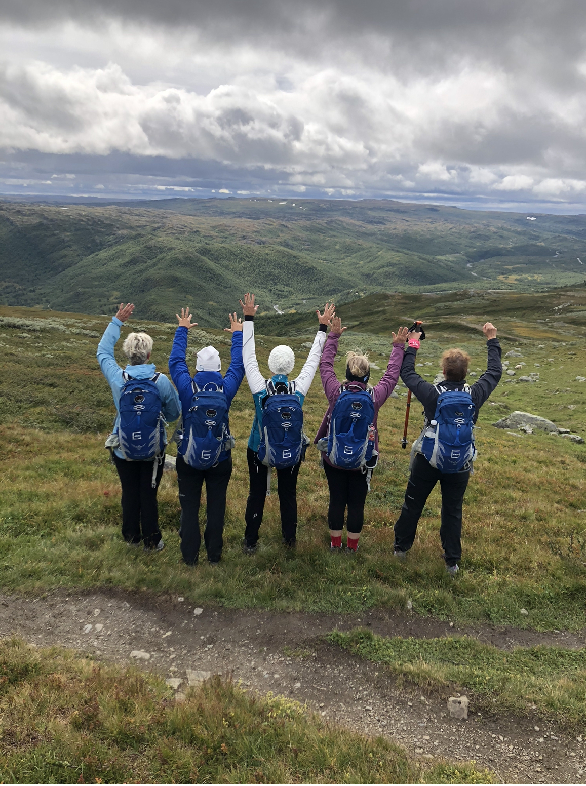 Five people putting their hands up while hiking on a mountain.
