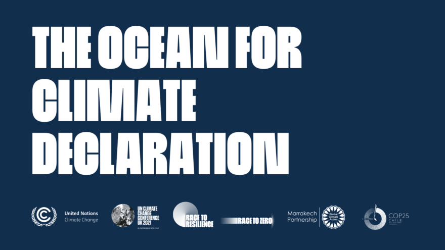 Declaration on climate change through a blue poster with partners and climate statements.