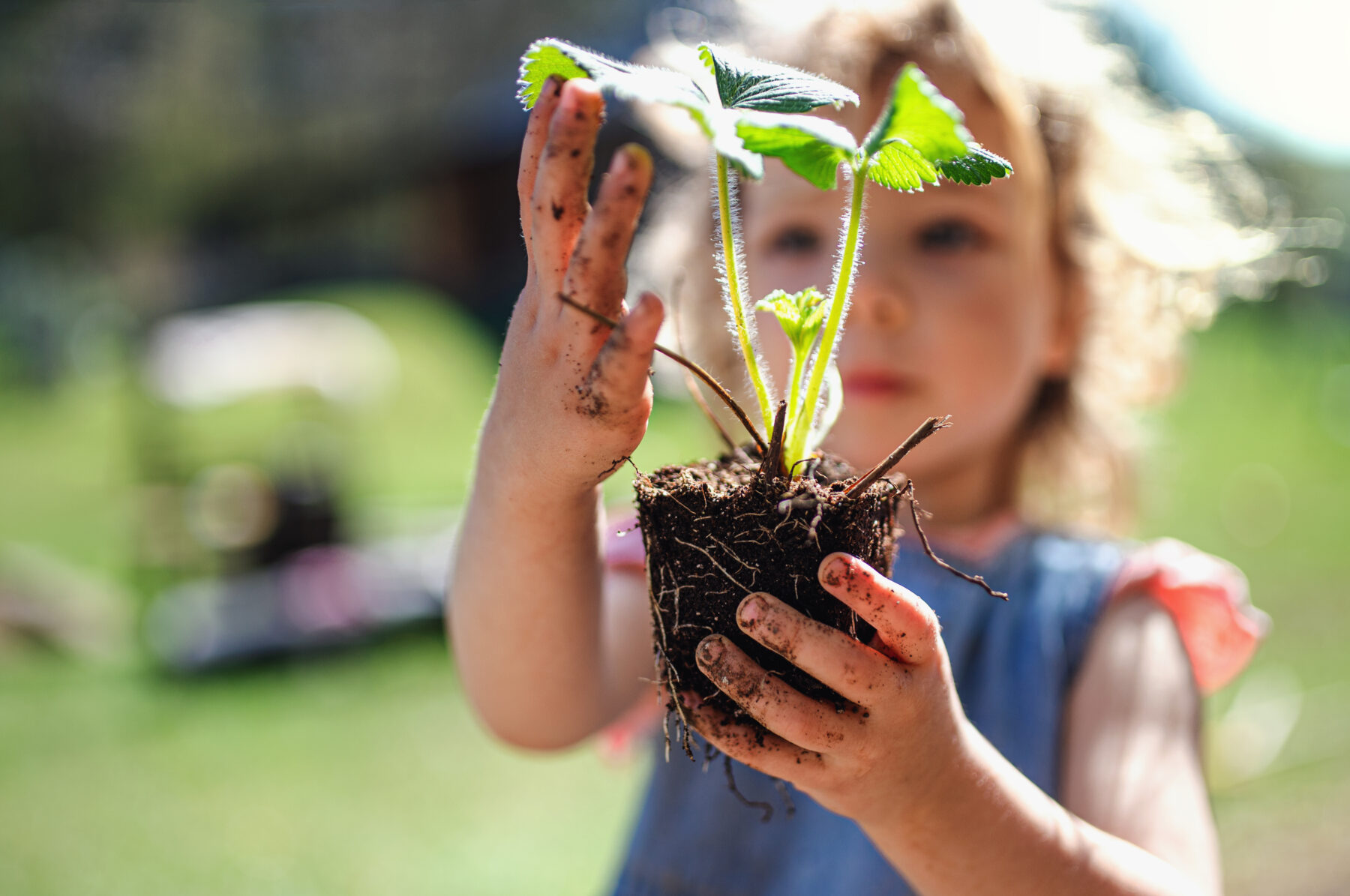 small girl with plant