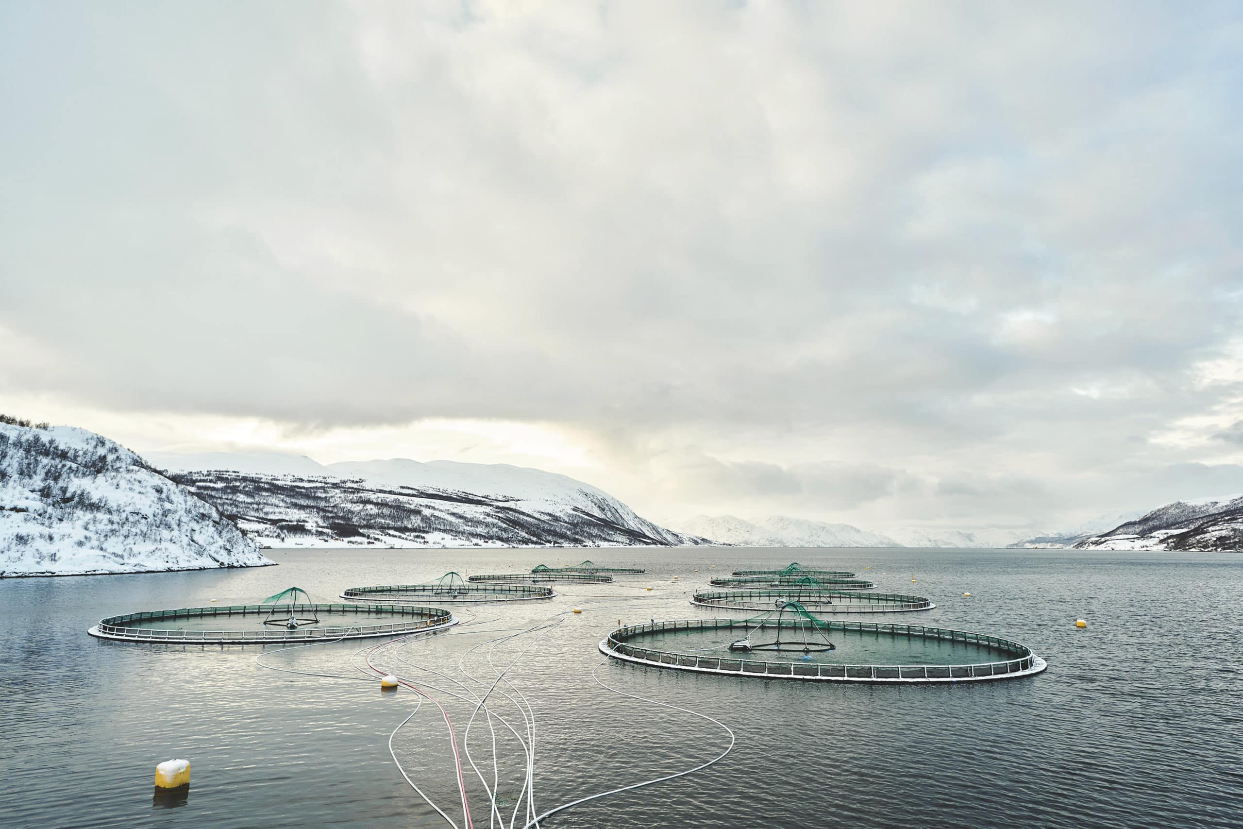 Grieg Seafood delivers innovation in sustainable feed for their fish farming cages.